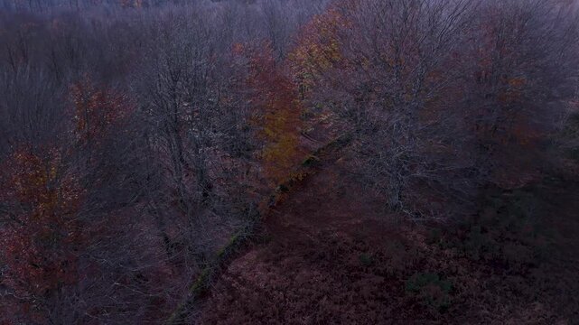 Aerial view from a drone of the "Wall of the Navarrese" in the autumn landscape of the Sierra de Entzia. Alava. Basque Country. Spain. Europe