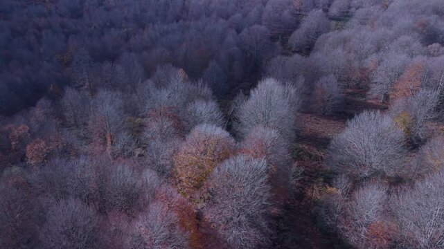 Aerial view from a drone of the "Wall of the Navarrese" in the autumn landscape of the Sierra de Entzia. Alava. Basque Country. Spain. Europe