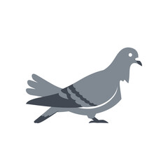 Obraz premium A detailed illustration of a grey pigeon standing on the ground showcasing its features.