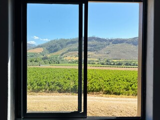 Fototapeta premium View from the window of the mountains and vineyards