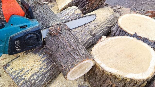 Hand holds chain saw with battery to trim broken branch of an tree. Modern work with electric portable brushless cordless chain saw.
