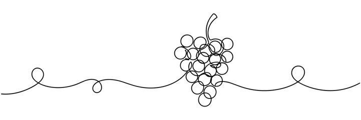 Fototapeta premium Cluster of grapes hanging on continuous line illustration, none editable strokes