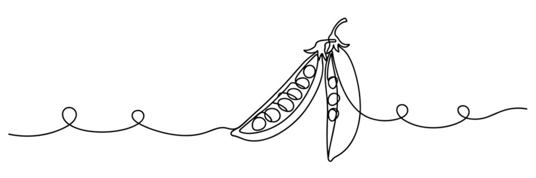 Pea pod opened revealing peas on continuous line composition, none editable strokes