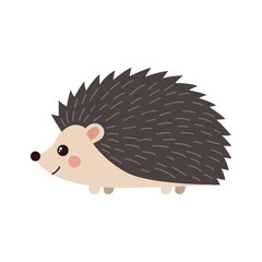 small cute vector hedgehog character walking on white background isolated illustration © pinkysultana131