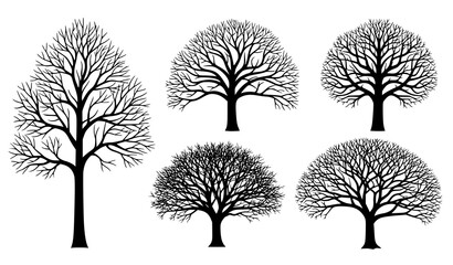 Obraz premium Leafless Tree Silhouette Vector Set – Winter Forest Black Tree Icons Collection
