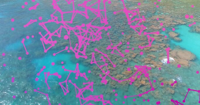 Overlay starting over reef, colored dots appearing then connecting into mesh, mapping coastal data
