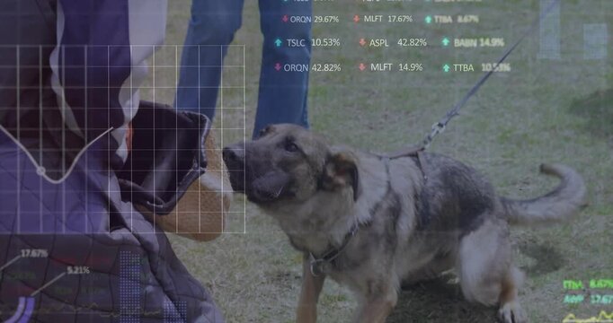 Dog trainer holding bite sleeve, handler holding leash, dog lunging, focusing, HUD graphs obscuring