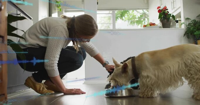 Woman crouching with two dogs, leaning adjusting bowl and patting while dogs eat, blue wave moving