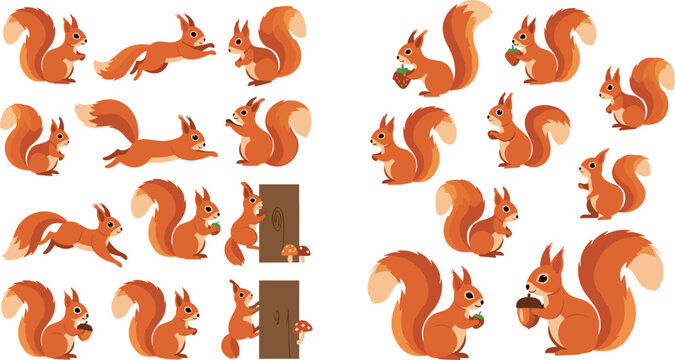Cute Squirrel Illustrations Set with Various Poses, Trees, and Acorns for Nature and Wildlife Designs
