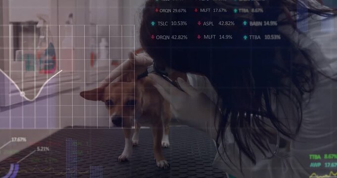 Female groomer placing dog on mat trimming neck and back with clippers while HUD tracking grooming