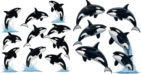 Stylized vector illustration of orca whales leaping and splashing with cartoon and realistic details © MdMojnu