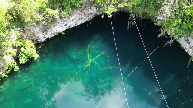 Drone close aerial of cenote water with visible limestone cave edges and vegetation. Ideal for nature documentaries and travel storytelling.