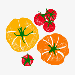 Set of different tomatoes and cherry tomatoes. Bright, colorful tomatoes in trendy textured sketch style. Perfect for food packaging, kitchen decor, recipe designs, labels, prints.