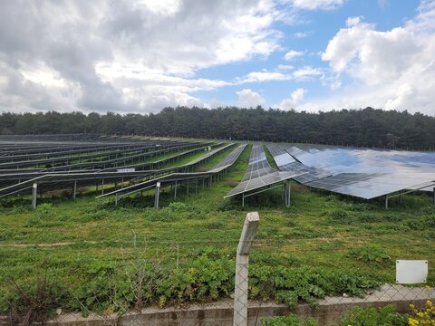 Solar panel power plant farm in a green field for renewable energy concept