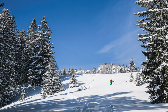 Skier Ski Mountaineering Through Fresh Powder in the Mountains. Spitzingsee, Germany