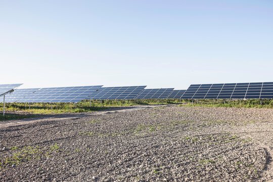 Solar Farm with Rows of Solar Panels in an Open Field. Senftenberg, Germany