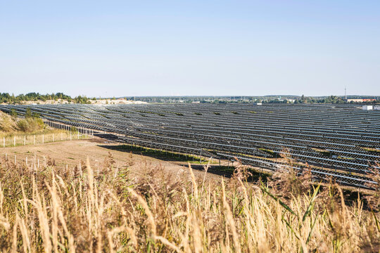 Solar Farm with Rows of Solar Panels in an Open Field. Senftenberg, Germany