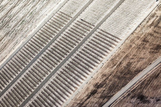 Aerial View of a Vast Open-Pit Mine in a Rural Landscape. Welzow, Germany