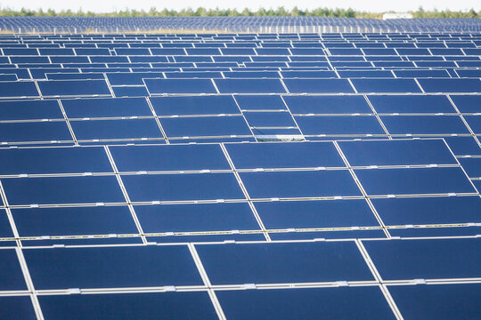 Solar Farm with Rows of Solar Panels in an Open Field. Senftenberg, Germany