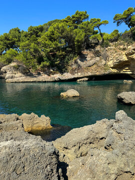 Sea bay with cliffs and pine trees.