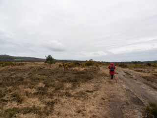 Obraz premium View of a woman in a red coat with a black backpack walking away from the camera