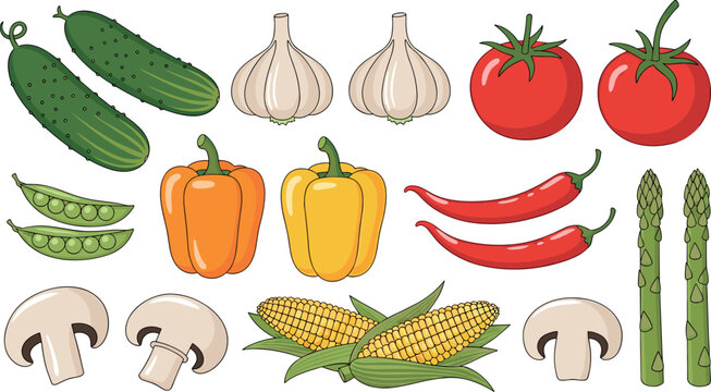 Vector Set of Fresh Vegetables Including Cucumbers, Garlic, Tomatoes, Peppers, Mushrooms, Corn, and Asparagus for Healthy Food and Organic Designs