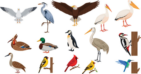 Naklejka premium Illustration of Diverse Birds Including Eagle, Heron, Pelican, Duck, Penguin, Woodpecker, Cardinal, Finch, and Hummingbird for Wildlife and Nature Designs