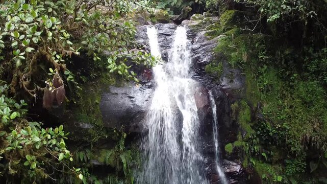 Aerial view of Lush waterfalls cascade through tropical rainforest in Boquete, Panama, surrounded by dense greenery and mist. The flowing water creates a serene, natural scene rich in movement and sou