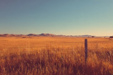 Fototapeta premium Open Texas prairie at golden hour with a weathered post bearing a lone star symbol