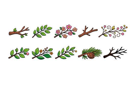 Collection of diverse botanical branches with leaves, flowers, berries, and pinecone