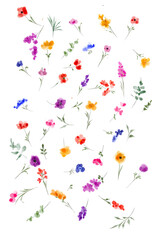 Fototapeta premium hand drawn watercolor wildflowers bouquet isolated on white background