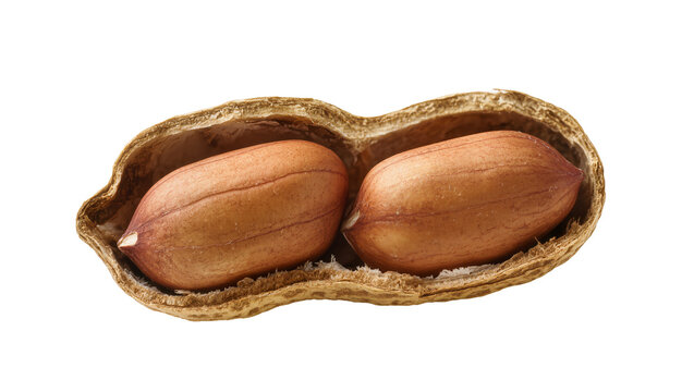 Two brown peanuts inside a cracked peanut shell, isolated on transparent background