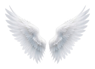 Obraz premium PNG Elegant white angel wings illustration.