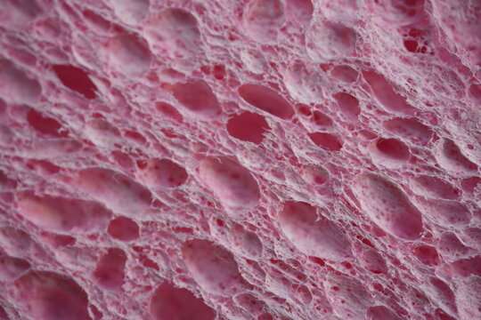 pink sponge texture close up, pink abstract sponge texture as background photo on top	
