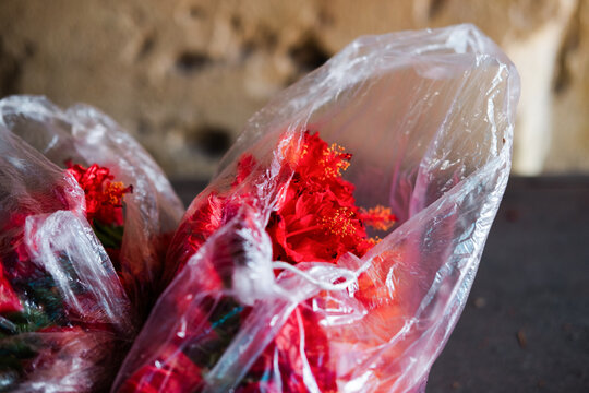 Vibrant red flowers wrapped in clear plastic