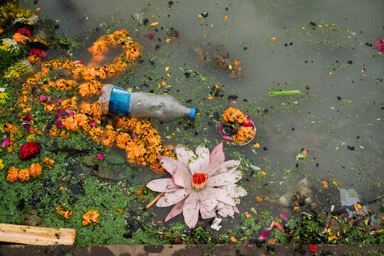 Pollution in Indian waterways with flowers and waste