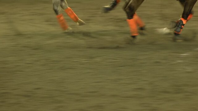 Close up of horses feet during polo match
