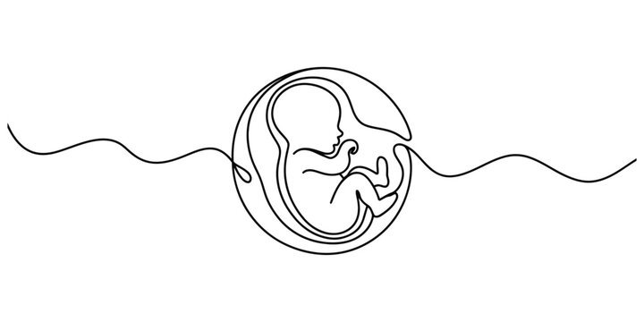 Minimalist continuous line drawing of a human fetus developing inside the womb of a pregnant woman