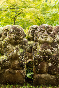 The stone statues covered in moss and plants at Otagi Nenbutsu-ji Temple in Arashiyama, Kyoto, Japan