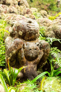 close-up view of stone statue covered in moss and plants at Otagi Nenbutsu-ji Temple in Arashiyama, Kyoto, Japan