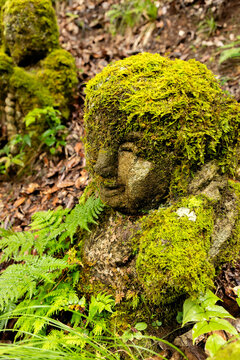 close-up view of stone statue covered in moss and plants at Otagi Nenbutsu-ji Temple in Arashiyama, Kyoto, Japan