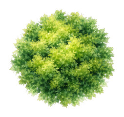 Naklejka premium PNG Lush green watercolor foliage illustration.