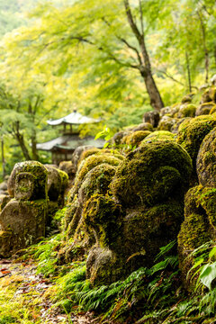 The stone statues covered in moss and plants among  rows of many other unique carved individuals at Otagi Nenbutsu-ji Buddhist Temple in Kyoto, Japan