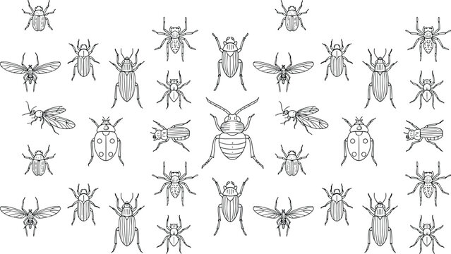 Insect icons set featuring beetles flies bugs collection line vector illustration minimal outline design entomology wildlife nature symbol pack isolated background