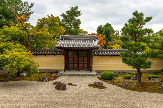 The Japanese zen garden with rocks surrounded by the waves of white raked gravel with temples gate and colourful autumn trees in a background.Kyoto. Japan