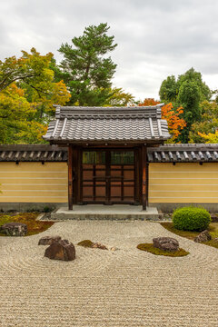  The Japanese zen garden with rocks surrounded by the waves of white raked gravel with temples gate and colourful autumn trees in a background.Kyoto. Japan