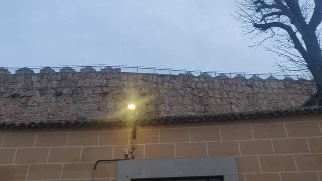 Leafless tree growing from a stone wall in an old town street