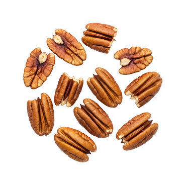 A collection of raw pecan nut halves arranged in a circular formation on a black background.