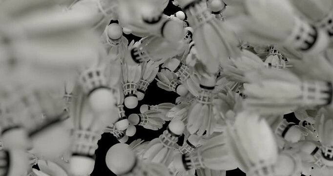 3D falling shuttlecock animation with multiple badminton shuttlecocks dropping through the screen. Ideal for sports visuals, match promos, playful motion graphics, and dynamic video projects. 4K UHD w