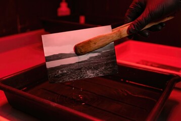Hand wearing a black glove using bamboo tongs to submerge a photograph in developer fluid under red darkroom light